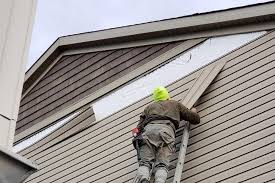 Best Siding Painting and Refinishing  in Bedford, VA